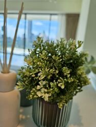 Leonie Parc View (D9), Apartment #591357361